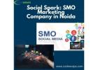 Social Spark: SMO Marketing Company in Noida