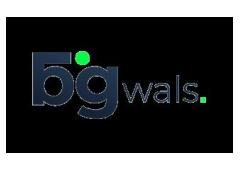 Web Design Services Florida | Bigwals