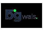 Web Design Services Florida | Bigwals