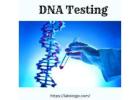 Get an Instant DNA Test