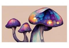 The Evolving Landscape of Psychedelic Therapy: Promise and Challenges