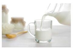 Pure A2 Gir Cow Milk - Fresh and Nutrient-Rich