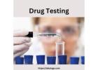 Crucial Insights: Drug Testing Unveiled