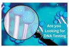 Accurate DNA testing available at 100%