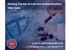 Cell Line Authentication Test Services in India