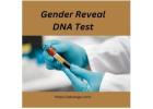 Get The Gender Reveal DNA Test Today