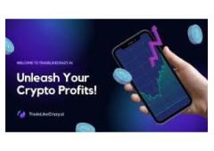 Your Pathway To Crypto Trading Profits Using ai And Not You!