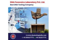 Benefits of Getting DNA Testing Services in India
