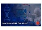 Where to Get the Best DNA Test Services in India?