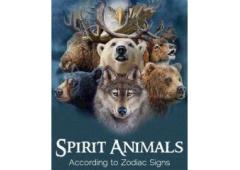 【✚２７７２５７７０３７６】: How to Tune into Spiritual Guidance from Animals Near You