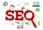 Looking Best SEO Services near you