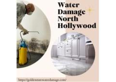 Searching For Services To Repair Water Damage