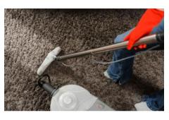 Brisbane's Trusted Carpet Cleaning Experts: Refresh Your Home Today!