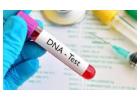 Unlock Your Genetic Code with DNA Testing