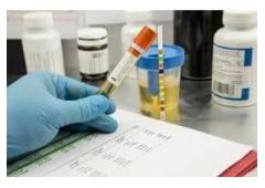 Thorough Drug Testing Procedures for Increased Security