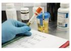 Thorough Drug Testing Procedures for Increased Security