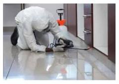 Get the Best Pest Management in Rothwell