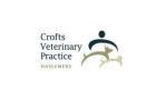 Crofts Veterinary Surgery - Haslemere