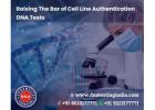 Choose the Best Cell Line Authentication Services in India
