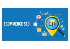 Stand Out in the Online Marketplace with SEO Spidy's Tailored Ecommerce Marketing Solutions in India