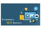 Turbocharge Your Ecommerce Success: Partner with SEO Spidy, the Top Agency in India