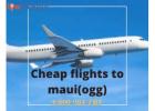 Find best deal to Cheap Flight to Maui |$999