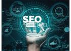 Boost Your Online Presence with South Florida SEO Agency