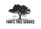Affordable Tree Cutting Services near me Charlottesville