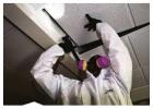 Expert Mold Inspection Services in Dallas