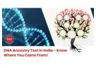 DNA Forensics Laboratory - For DNA Ancestry Test Kit
